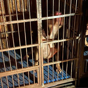 Meet your Posher, Aaron